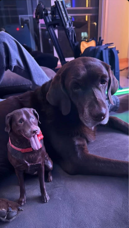 3D Pet Miniature